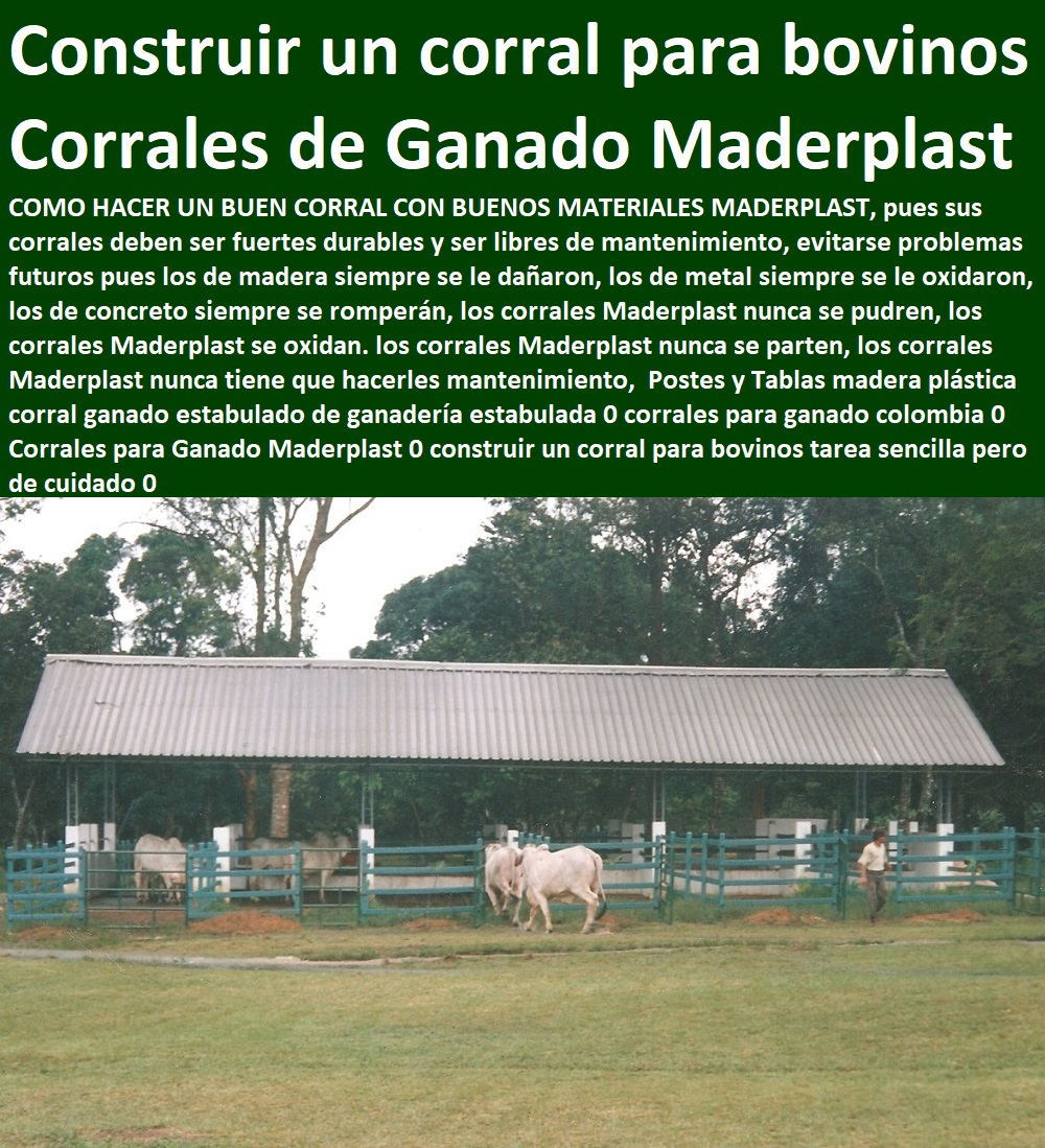 Establos Techados Corral Estabulado Maderplast Corrales Ganadería Intensiva 0 Tecnología en la Ganadería 0 Producción de Carne Con Ganado, Estabulado 0 Nueva Tecnología de Estabulación Maderplast 0 Cotización de Corrales Ganaderos Establos Techados Corral Estabulado Maderplast Corrales Sistemas de Pastoreo, Estabulación de Ganado, Pastoreo Intensivo, Establos, Corrales, Saladeros, Comederos, Cerramientos, Postes, Ganaderías Tecnificadas, Ganaderías Tecnificadas, Explotación Ganadera Automatizada, Ganadería Intensiva 0 Tecnología en la Ganadería 0 Producción de Carne Con Ganado, Estabulado 0 Nueva Tecnología de Estabulación Maderplast 0 Cotización de Corrales Ganaderos